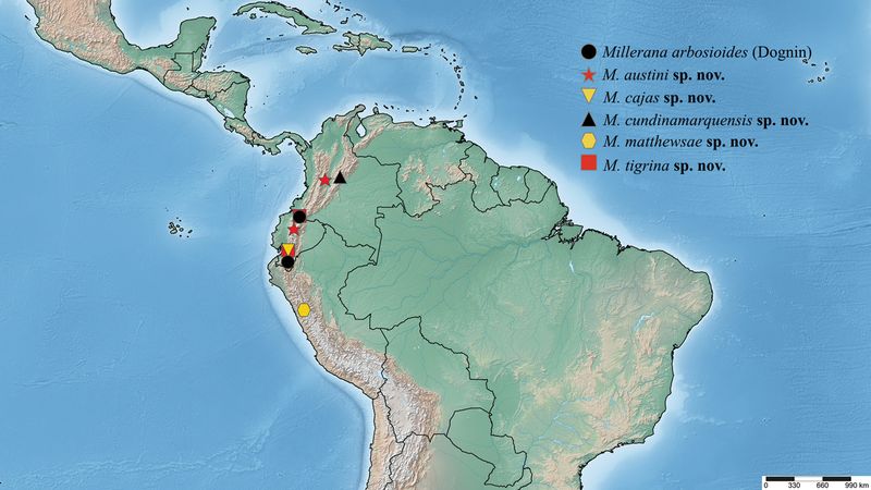 Verbreitung der Gattung Millerana nach Martinez (2020)