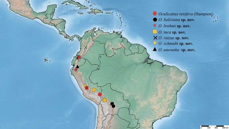 Verbreitung der Gattung Oculicattus nach Martinez (2020)
