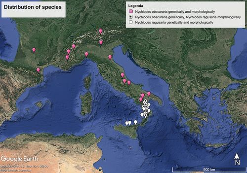 Verbreitung von Nychiodes obscuraria und Nychiodes ragusaria nach Latella et al. (2024)